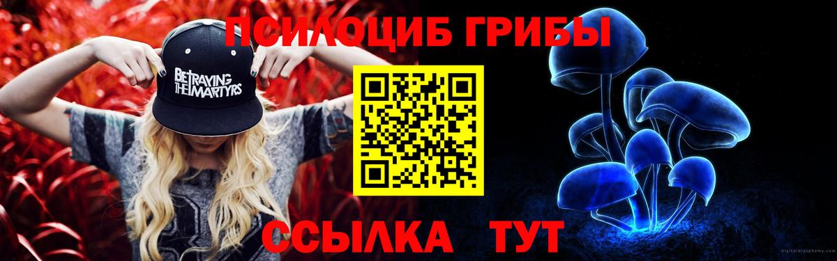 Псилоцибиновые грибы Magic Shrooms Кызыл